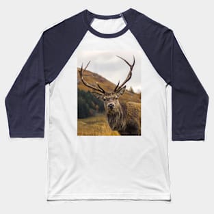 Red Deer Stag with Antlers Baseball T-Shirt